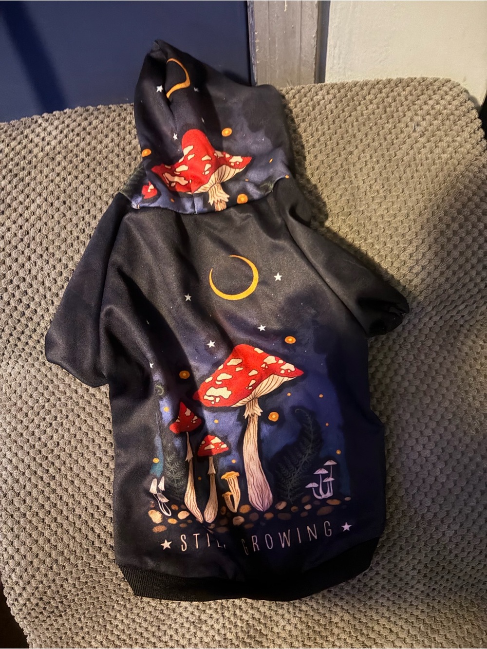 Mushroom Moon Graphic Hoodie - Black with Red Accent
